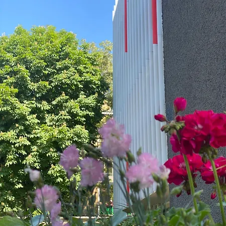 Daire Premier Suites Wroclaw